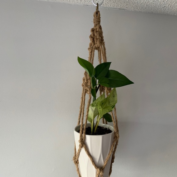 Macrame Plant Hangers - Picture 3 of 9